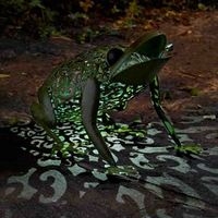 Metal Silhouette Frog Solar Light