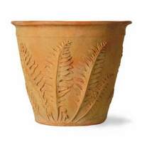 Fern Pot - Terracotta Finish