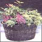 planted garden tub