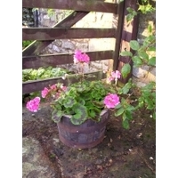 14" Natural Finish Oak Tub Half-Barrel