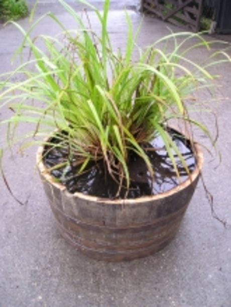 Extra Large Still Water Garden 38"