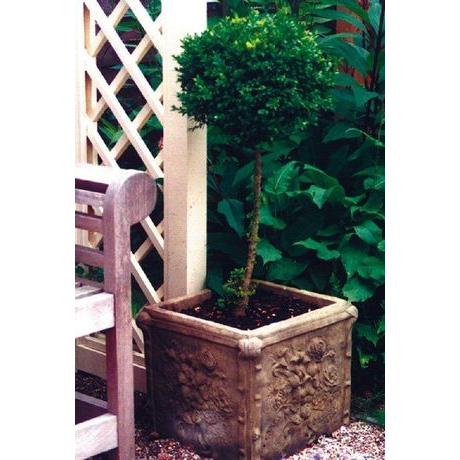 Regency Vase - Cotswold Stone Planter