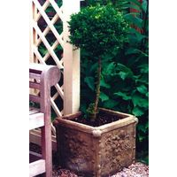 Regency Vase - Cotswold Stone Planter