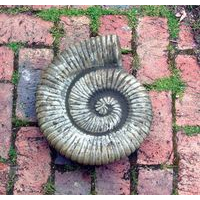 Large Ammonite Statue