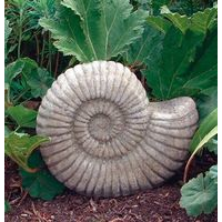 Grand Ammonite Statue