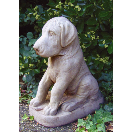 DANE PUPPY Stone Statue