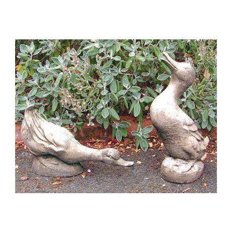 Courting Duck Stone Statue