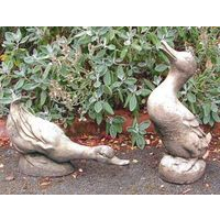 Courting Duck Stone Statue