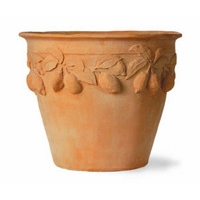 Citrus Pot - Terracotta Finish