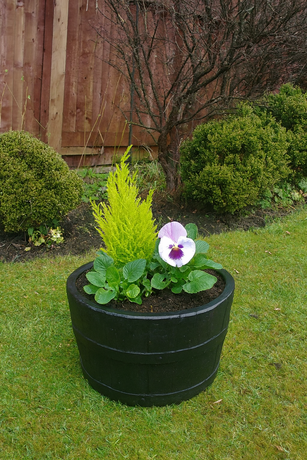 20" Extra Deep Dark Stained Finish Oak Tub Half-Barrel
