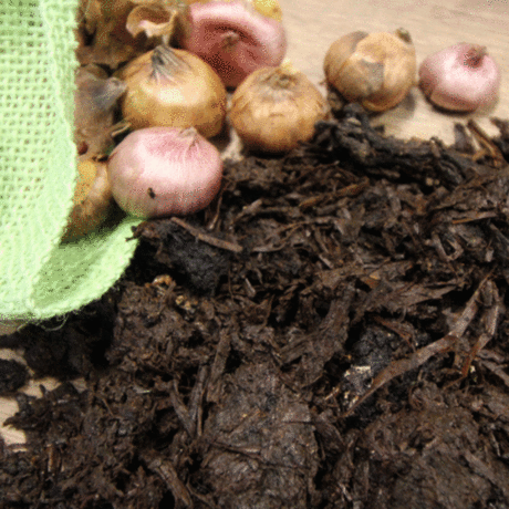 Organic Manure - Mushroom Compost Bulk Bag