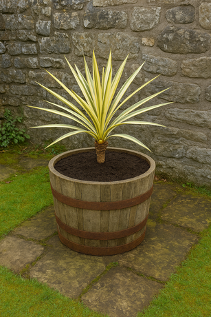 20" Natural Finish Oak Tub Half-Barrel