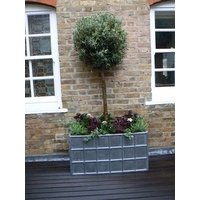 Downing Street Antique Faux Lead Planters