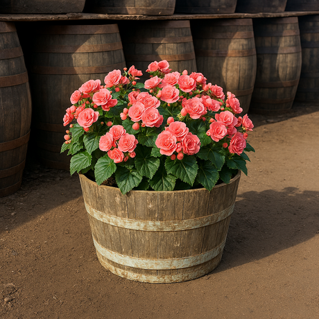 Half French Oak Wine Barrel Tub Planter - 28" Diameter