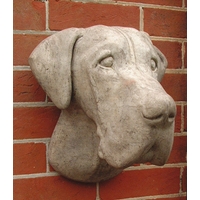 Great Dane Head Wall Plaque