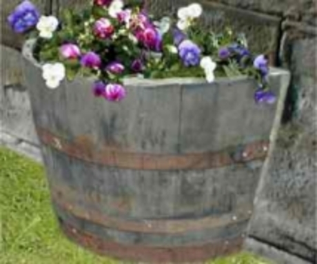 24" Half Moon Natural Finish Oak Tub Barrel Planter