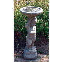 Urchin Bird Bath - Cotswold Stone