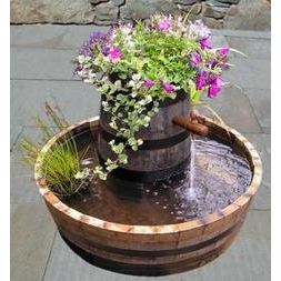 Mexican Hat Water Garden