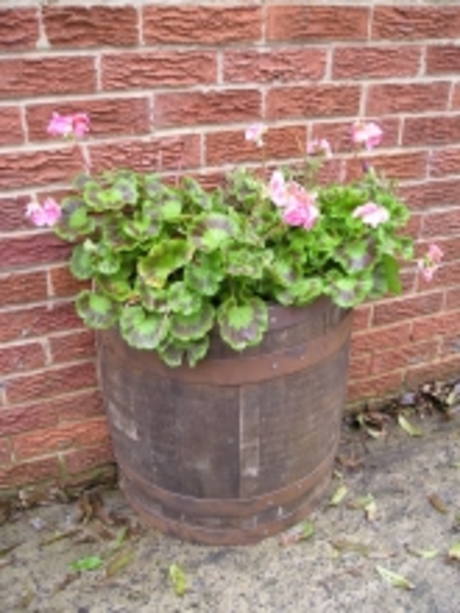 Half Oak Barrel Wall Planter - Rustic Finish - No Stock