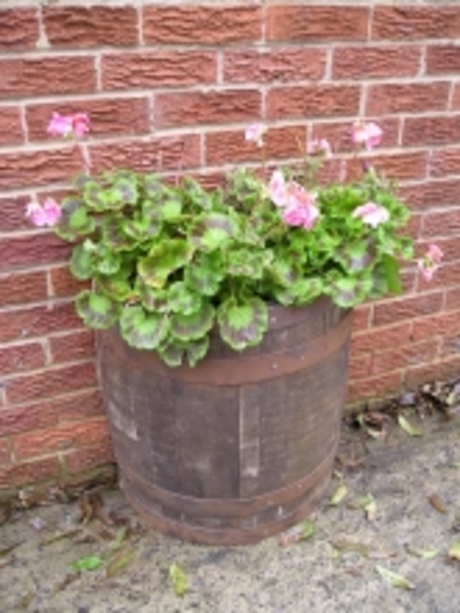 Half Oak Barrel Wall Planter - Rustic Finish