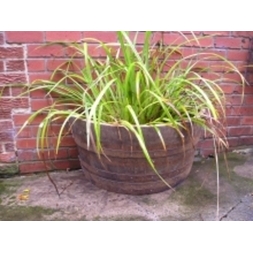 36" Half Moon Natural Finish Oak Tub Barrel Planter