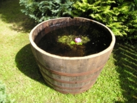 Large Still Water Garden