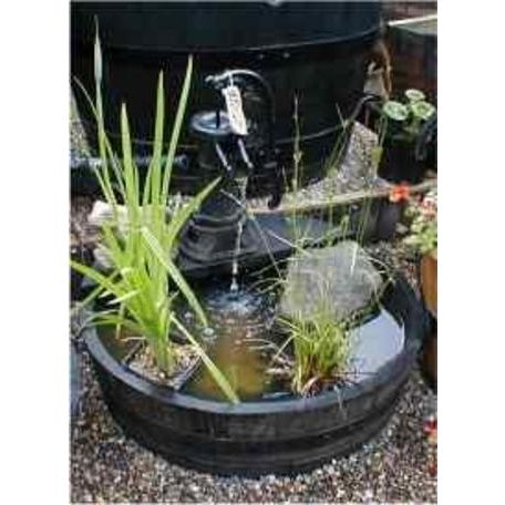 Shallow Pitcher Pump Water Garden