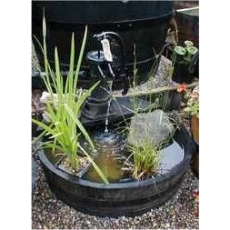 Shallow Pitcher Pump Water Garden